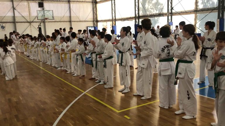 taekwondo-2.jpg