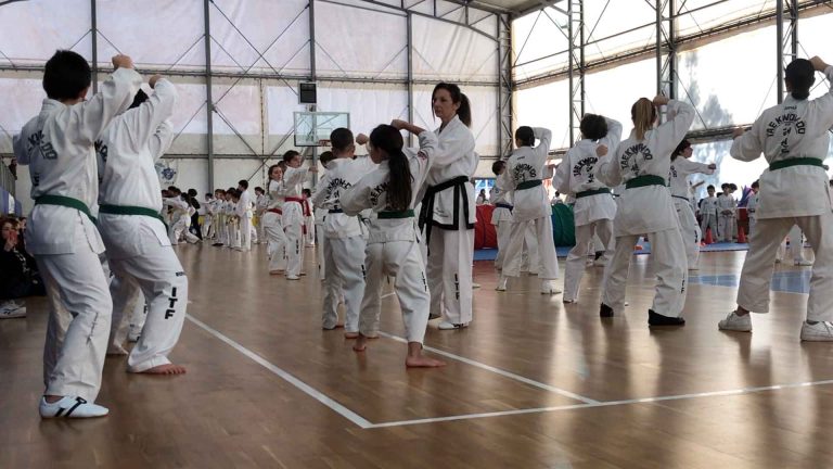 taekwondo-4.jpg