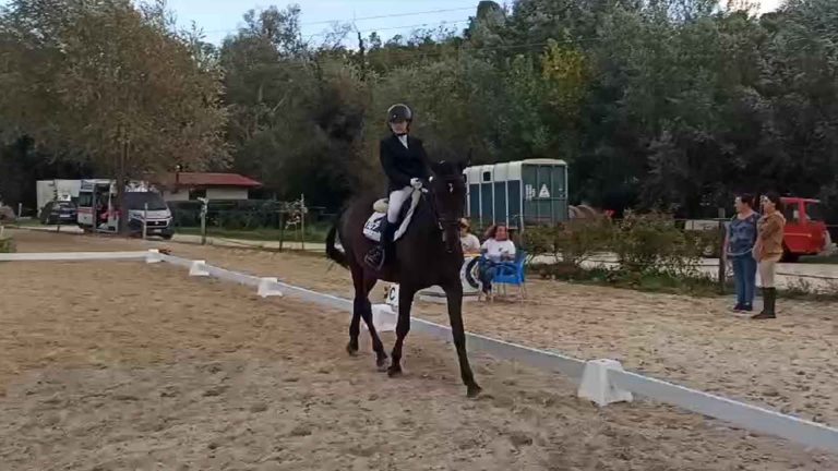 equitazione-4.jpg