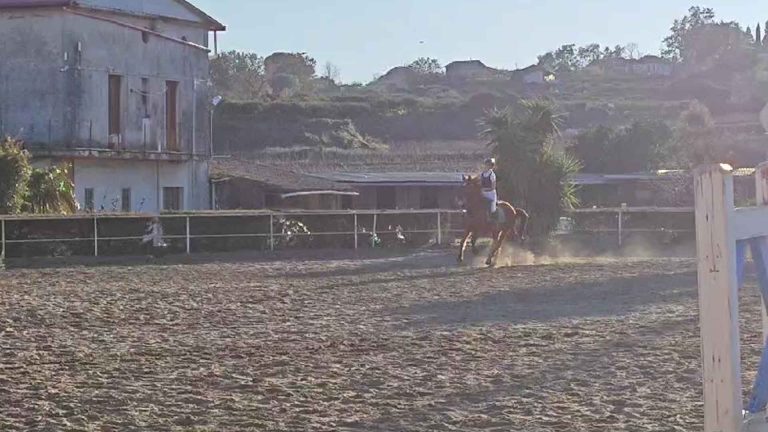 equitazione.jpg